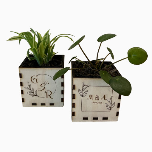 Bedankje 'Nobel Green'